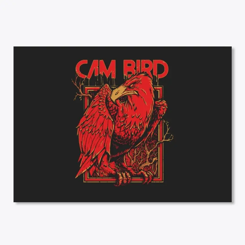 Cam Bird Eagle